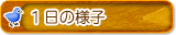 １日の様子